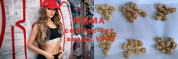 spice Бородино