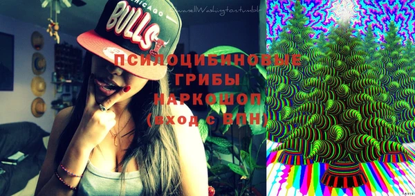 гидропоника Бугульма