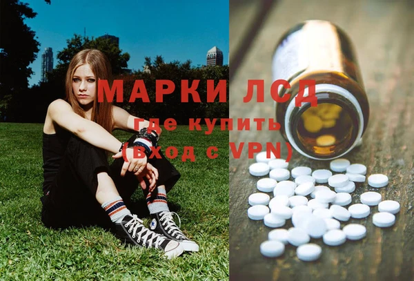 spice Бородино
