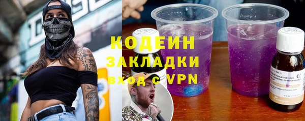 прущие грибы Тайга