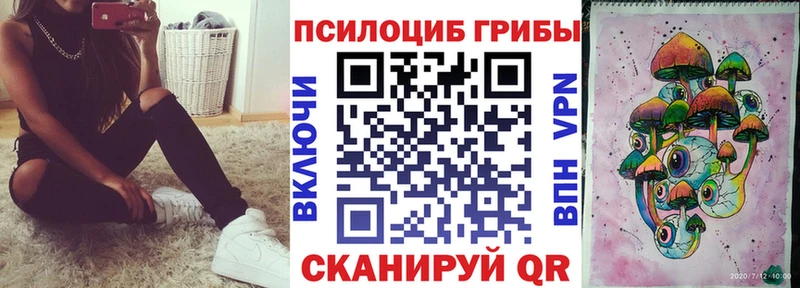 Галлюциногенные грибы Psilocybe  mega ссылки  Сосногорск 